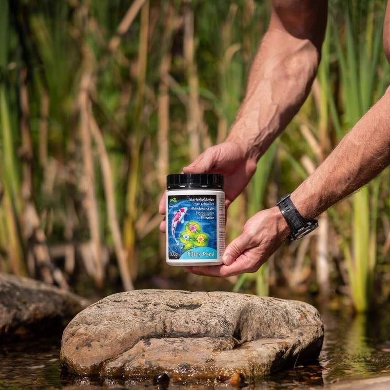 Filter Pond